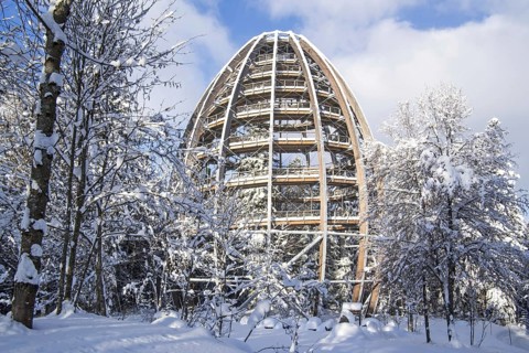 Baumwipfelpfad in winter