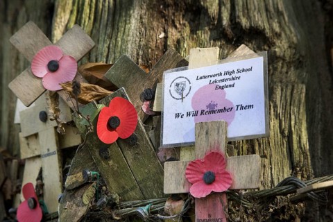 Original shell-blasted tree at Sanctuary Wood Museum Hill 62 at Zillebeke