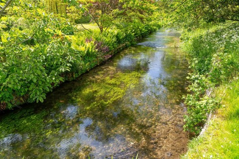 Chalk stream River Avon