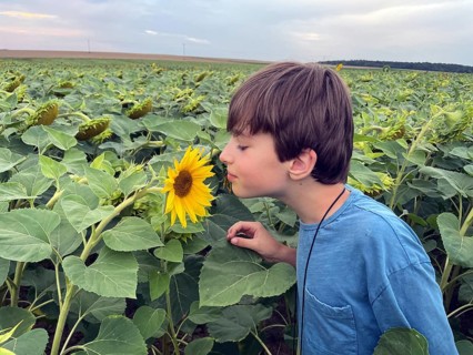 Boy smelling sunflower