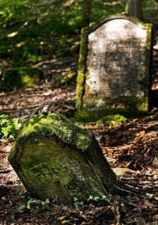 Monument zone Old Jewish cemetery in the forest