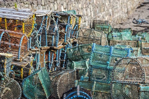 Lobster pots