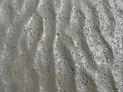Silt