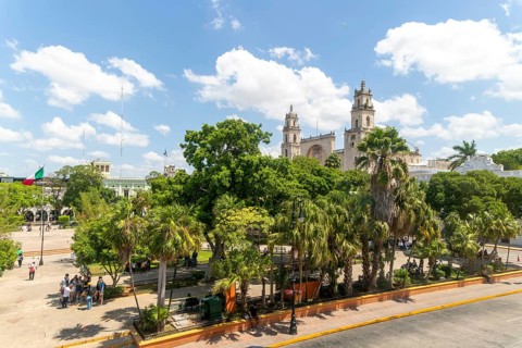 Raised view of cathedral church over Plaza Grande in city centre