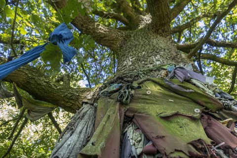 Old clothes hanging from the Chene a clous