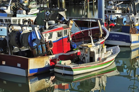 Fishing boats in the harbour at La Cotiniere on the island Ile d'Oleron