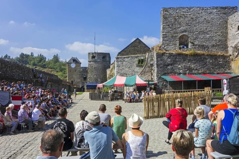 Tourists watching falconry
