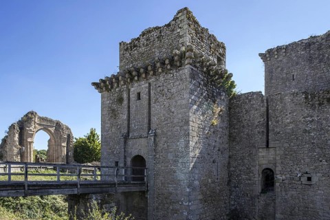Ruins of the medieval Chateau de Tiffauges
