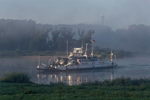 The Elbe ferry Tanja in the early morning mist between Darchau and Neudarchau on the Elbe in the UNESCO Biosphere Reserve Elbe River Landscape. Amt Neuhaus