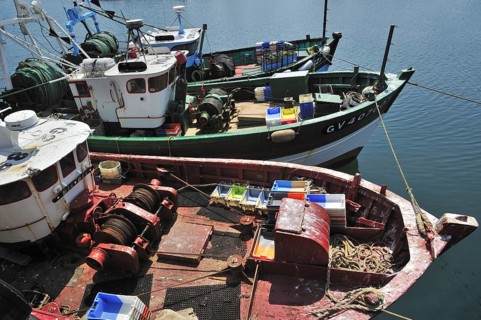 Colourful trawler fishing boats in the Guilvinec port
