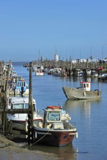 Fishing boats and oyster farming boats in the harbour Port du Bec near Beauvoir-sur-mer