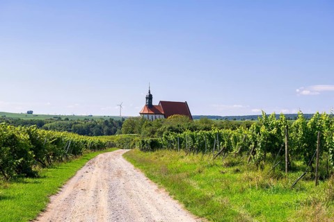 Pilgrimage church Maria im Weingarten