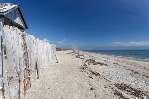 Palisades on a beach