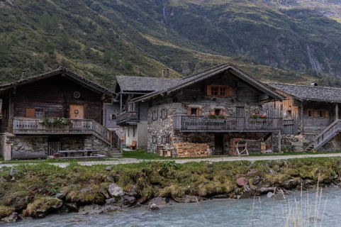 Alpine pasture