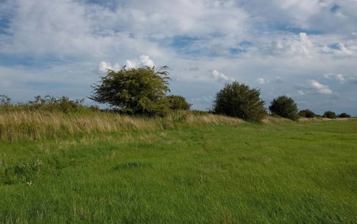 Elbe dyke near Rueterberg
