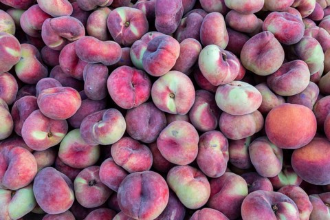 Platt peaches