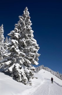 Deep snowy winter landscape with ski tourers on the way to the Zwoelferhorn