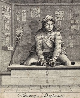 A Scotsman using a toilet for the first time