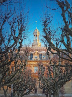 City Hall of Asnieres as seen through the sycamore trees alley outdoors in the park. Asnieres-sur-Seine mairie backyard facade view