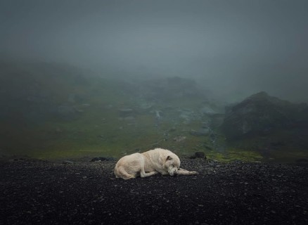 Moody and silent scene with a white