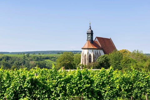 Pilgrimage church Maria im Weingarten