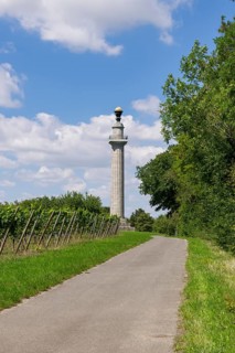 Constitution Column