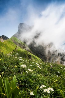 Steep mountains and clouds and flower meadow