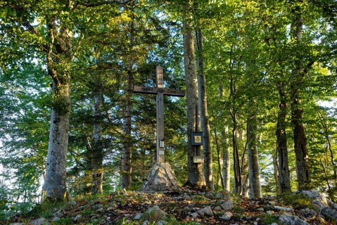 Summit cross in the deciduous forest on the Gurlspitze