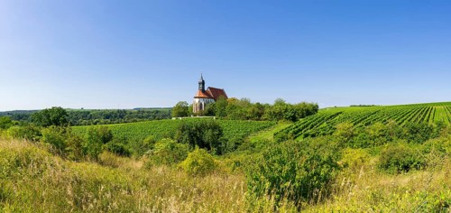 Pilgrimage church Maria im Weingarten