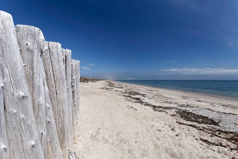 Palisades on a beach