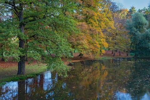 Park of Matzen Castle in autumn