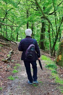 Kellerwald-Edersee National Park in late summer