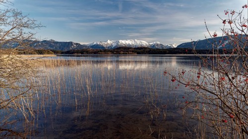 Staffelsee with bushes in the foreground and snow-covered mountains in the background