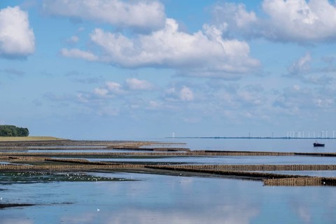 Mudflat landscape at low tide with lahnungen