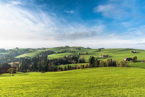 Hilly landscape with farms and green meadows in Appenzellerland