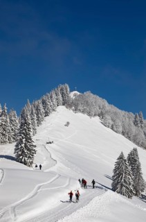 Deep snowy winter landscape with ski tourers on the way to the Zwoelferhorn