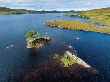 Aerial view of the freshwater loch Loch Assynt with small tree islands