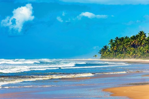 Beautiful completely deserted Sargi beach surrounded by coconut trees on a sunny day in Serra Grande on the south coast of Bahia