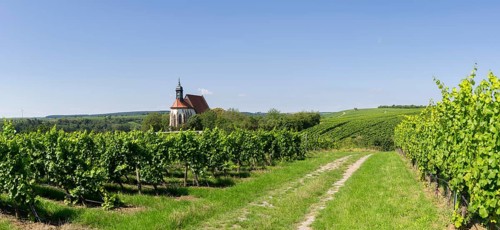 Pilgrimage church Maria im Weingarten