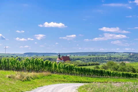 Pilgrimage church Maria im Weingarten