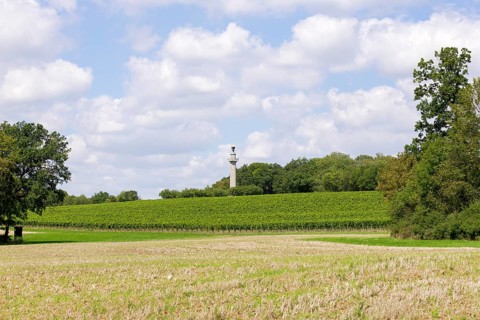 Constitution Column