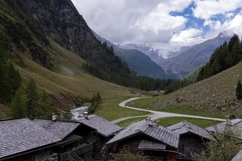 Alpine pasture