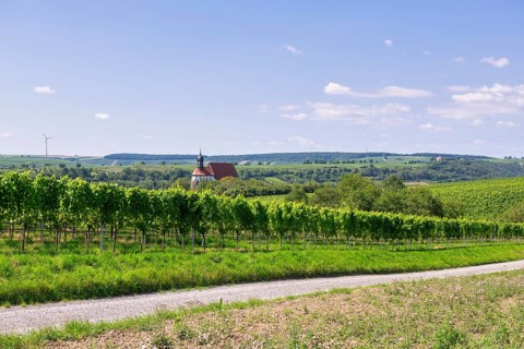 Pilgrimage church Maria im Weingarten