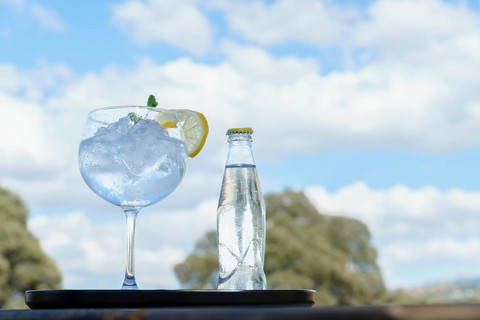 Bottle of tonic with a glass with ice on a black tray and landscape with trees and clouds in the sky out of focus in the background