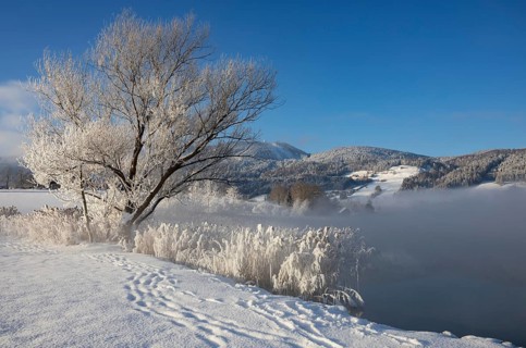 Snowy winter landscape at the Irrsee in the morning mist
