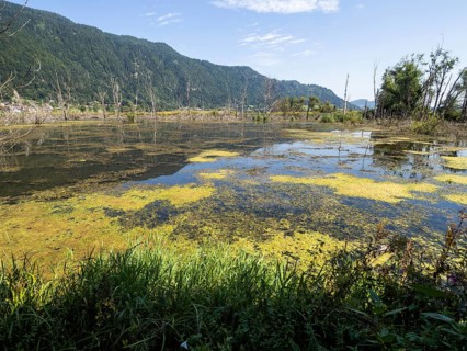 Moorland