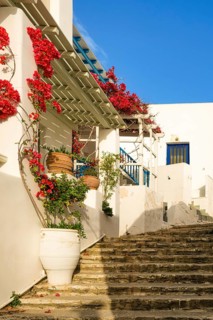 Traditional Greek island town alleyway with whitewashed walls