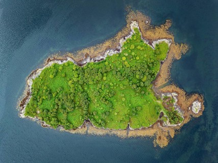 Aerial view of a tree island in Loch Sunart