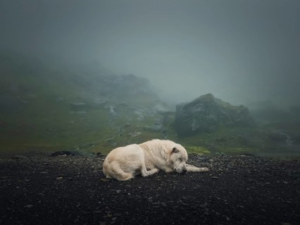 Moody and silent scene with a white