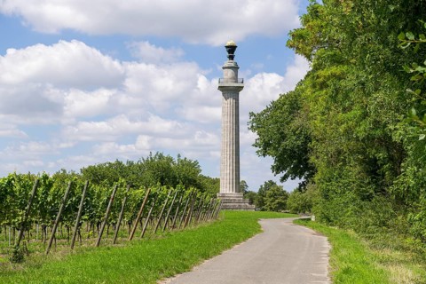 Constitution Column